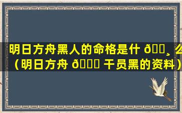 明日方舟黑人的命格是什 🌸 么（明日方舟 🐞 干员黑的资料）